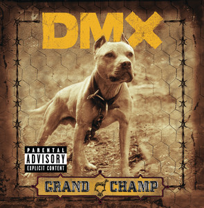 Get It On The Floor - DMX & Swizz Beatz listen song