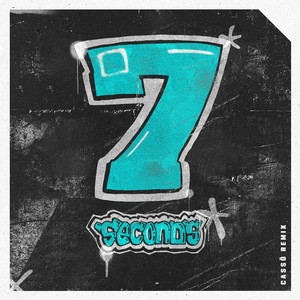 7 Seconds (feat. Shamiya Battles) - Cassö Remix - James Hype & Shamiya Battles & cassö listen song