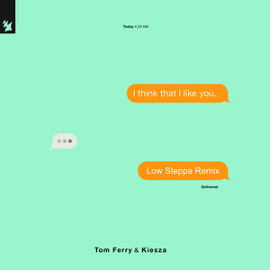 I Think That I Like You - Low Steppa Extended Remix - Tom Ferry & Kiesza & Low Steppa listen song