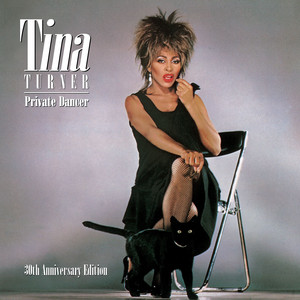 We Don't Need Another Hero (Thunderdome) - Tina Turner listen song