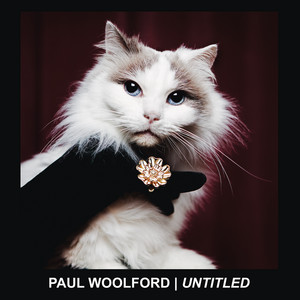 Untitled (Call Out Your Name) - Paul Woolford listen song