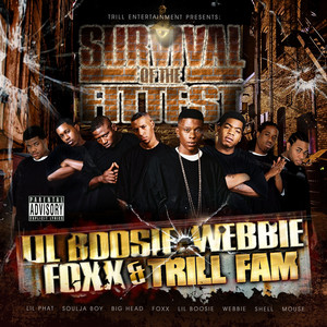 Wipe Me Down (feat. Foxx, Webbie & Boosie Badazz) - Remix - Trill Family & Boosie Badazz & Webbie & Foxx listen song