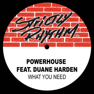 What You Need (feat. Duane Harden) (Full Intention Radio Edit) - Powerhouse & Duane Harden listen song