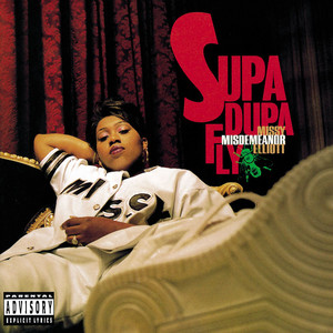 The Rain (Supa Dupa Fly) - Missy Elliott listen song