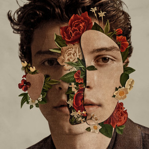 Señorita - Shawn Mendes & Camila Cabello listen song