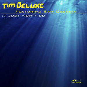 It Just Won't Do - Radio Edit - Tim Deluxe & Sam Obernik listen song