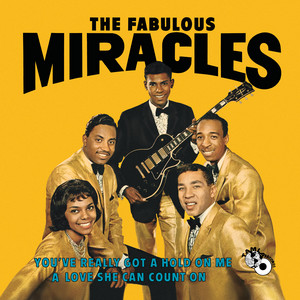 You've Really Got A Hold On Me - The Miracles listen song