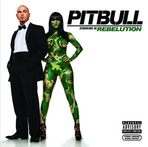 I Know You Want Me (Calle Ocho) - Pitbull listen song