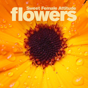 Flowers - Sunship Radio Edit - Sweet Female Attitude & Sunship listen song