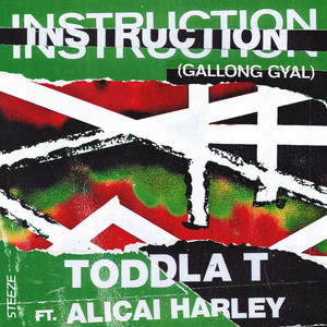 Instruction (Gallong Gyal) - Toddla T & Alicai Harley listen song