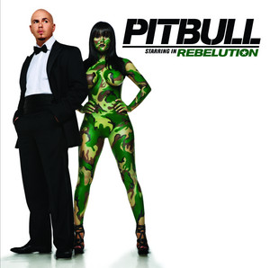 I Know You Want Me (Calle Ocho) - Pitbull listen song