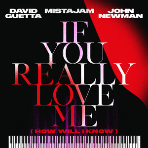 If You Really Love Me (How Will I Know) - David Guetta & MistaJam & John Newman listen song