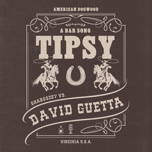 A Bar Song (Tipsy) [Remix} - Shaboozey & David Guetta listen song