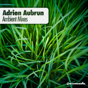 1998 - Adrien Aubrun Ambient Mix - Binary Finary & Adrien Aubrun listen song