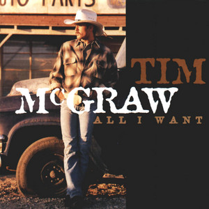 I Like It, I Love It - Tim McGraw listen song