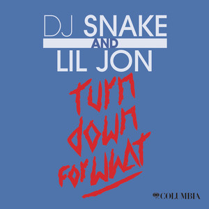 Turn Down for What - DJ Snake & Lil Jon listen song