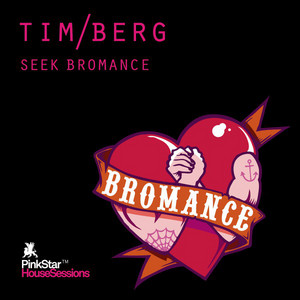 Seek Bromance - Avicii Vocal Edit - Tim Berg & Avicii listen song