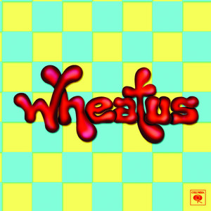 Wheatus - Teenage Dirtbag