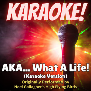 AKA... What A Life! - Karaoke Version Originally Performed by Noel Gallagher's High Flying Birds - Singer's Best listen song