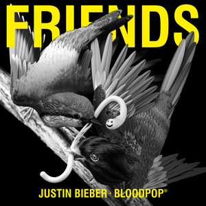 Friends (with BloodPop®) - Justin Bieber & BloodPop® listen song