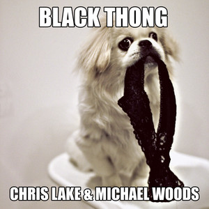 Black Thong - Chris Lake & Michael Woods listen song