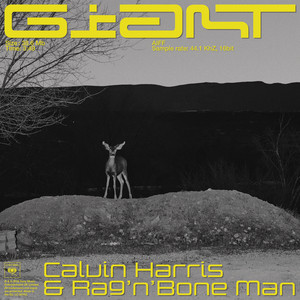 Giant (with Rag'n'Bone Man) - Calvin Harris & Rag'n'Bone Man listen song