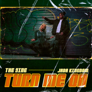 Turn Me On (with Jada Kingdom) - The 9ine & Jada Kingdom listen song