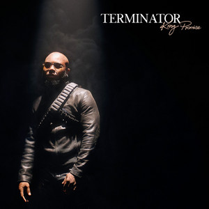 Terminator - King Promise listen song