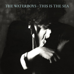 The Waterboys - The Whole of the Moon - 2004 Remaster