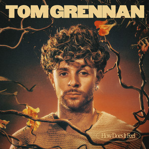 How Does It Feel - Tom Grennan listen song