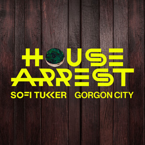 House Arrest - Sofi Tukker & Gorgon City listen song