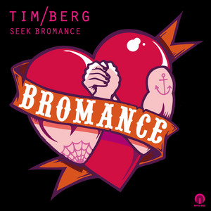 Seek Bromance (Avicii Vocal Edit) - Tim Berg listen song